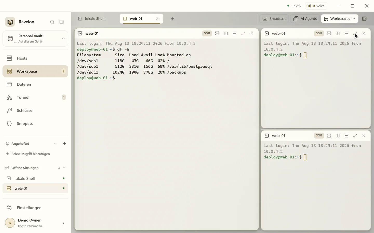 Geteilte Bereiche in Ravelon: ein Terminal wird rechts und unten geteilt, ein Trenner verschoben, ein Bereich maximiert und das Layout als Workspace gespeichert