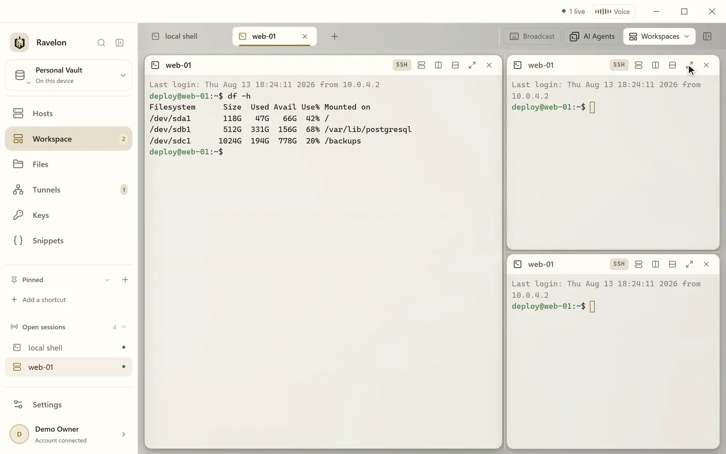 Ravelon split panes: a terminal is split right and down, a divider is dragged, a pane is maximized and the layout is saved as a workspace